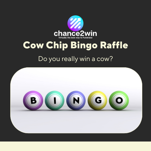 cow chip bingo cow chip bingo fundraising idea