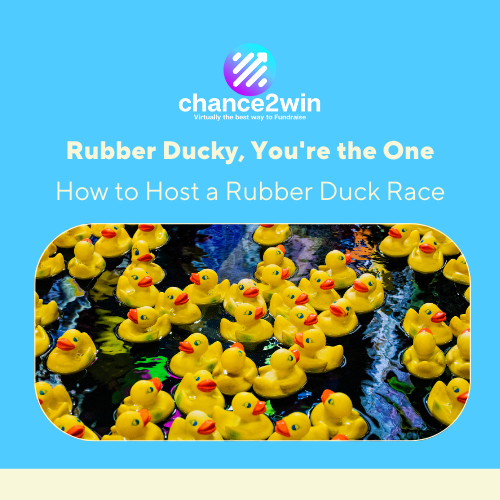 Blogs (31) duck raffle online chance2win