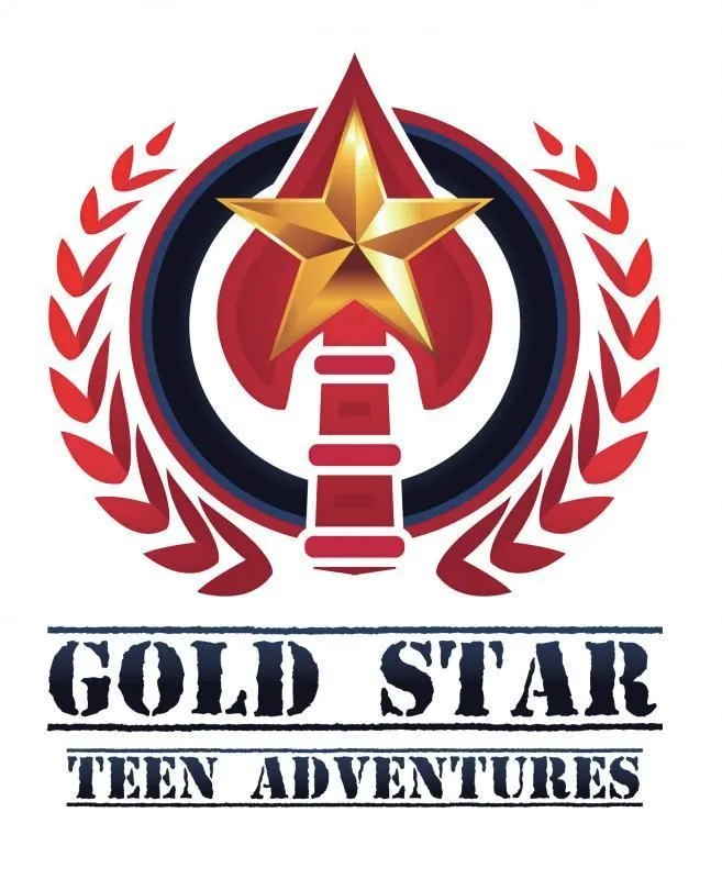 Gold star logo Gold star logo